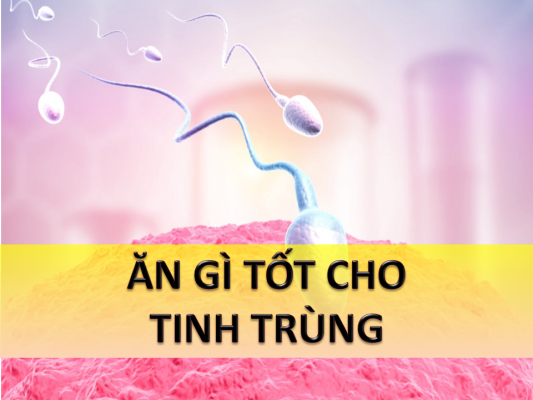an-gi-tot-cho-chat-luong-tinh-trung