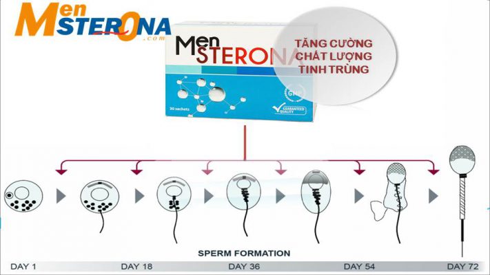 mensterona-dung-bao-lau