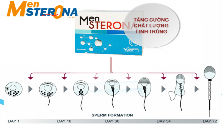 mensterona-dung-bao-lau